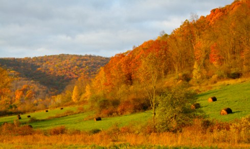 The Colors of Fall in Western New York